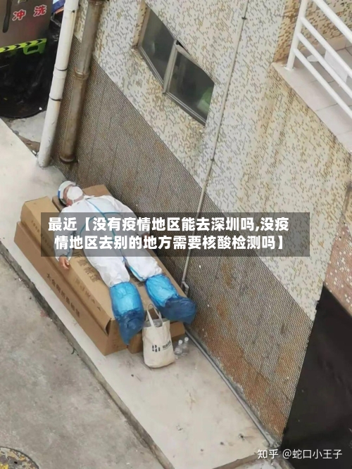 最近【没有疫情地区能去深圳吗,没疫情地区去别的地方需要核酸检测吗】-第2张图片