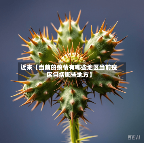 近来【当前的疫情有哪些地区当前疫区包括哪些地方】
