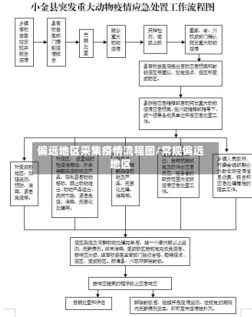 偏远地区采集疫情流程图/常规偏远地区-第3张图片