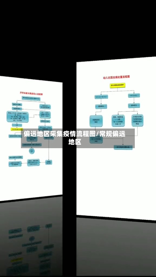 偏远地区采集疫情流程图/常规偏远地区-第2张图片