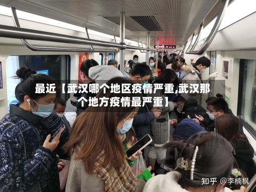 最近【武汉哪个地区疫情严重,武汉那个地方疫情最严重】-第2张图片