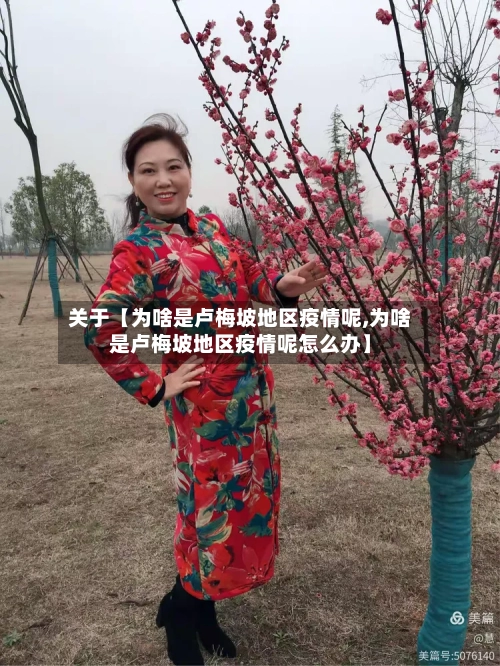 关于【为啥是卢梅坡地区疫情呢,为啥是卢梅坡地区疫情呢怎么办】-第2张图片