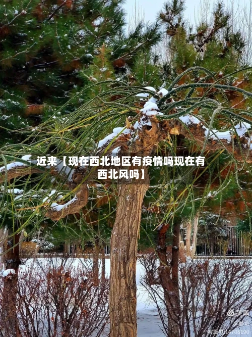 近来【现在西北地区有疫情吗现在有西北风吗】