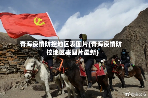 青海疫情防控地区表图片(青海疫情防控地区表图片最新)-第3张图片