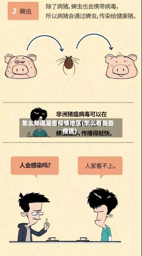怎么知道是否疫情地区(怎么看是否疫区)-第3张图片
