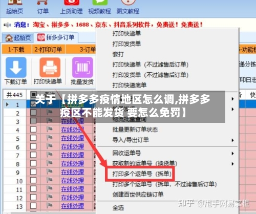 关于【拼多多疫情地区怎么调,拼多多疫区不能发货 要怎么免罚】-第2张图片