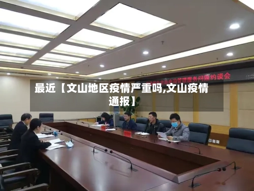 最近【文山地区疫情严重吗,文山疫情通报】-第2张图片