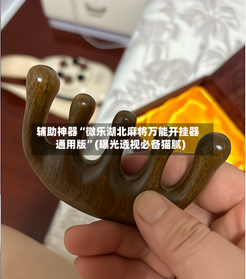 辅助神器“微乐湖北麻将万能开挂器通用版”(曝光透视必备猫腻)-第2张图片