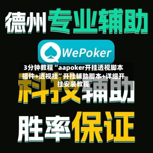 3分钟教程“aapoker开挂透视脚本插件+透视挂”开挂辅助脚本+详细开挂安装教程-第2张图片