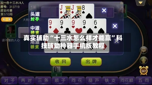 真实辅助“十三水怎么样才能赢”科技辅助神器手机版教程-第2张图片