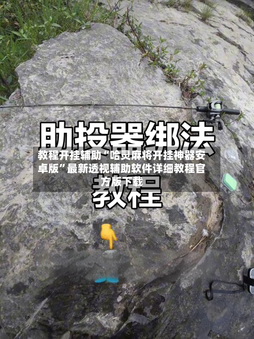 教程开挂辅助“哈灵麻将开挂神器安卓版”最新透视辅助软件详细教程官方版下载