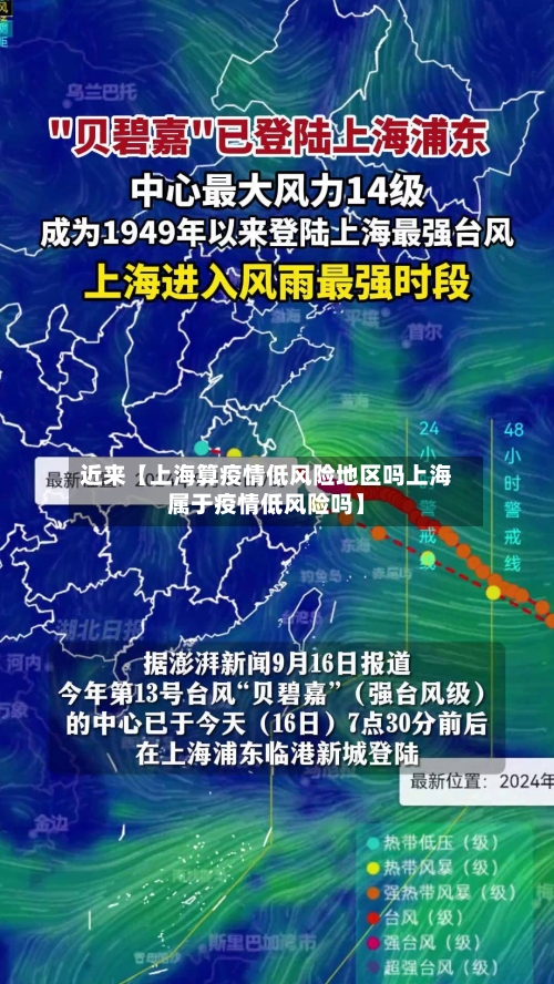 近来【上海算疫情低风险地区吗上海属于疫情低风险吗】-第2张图片