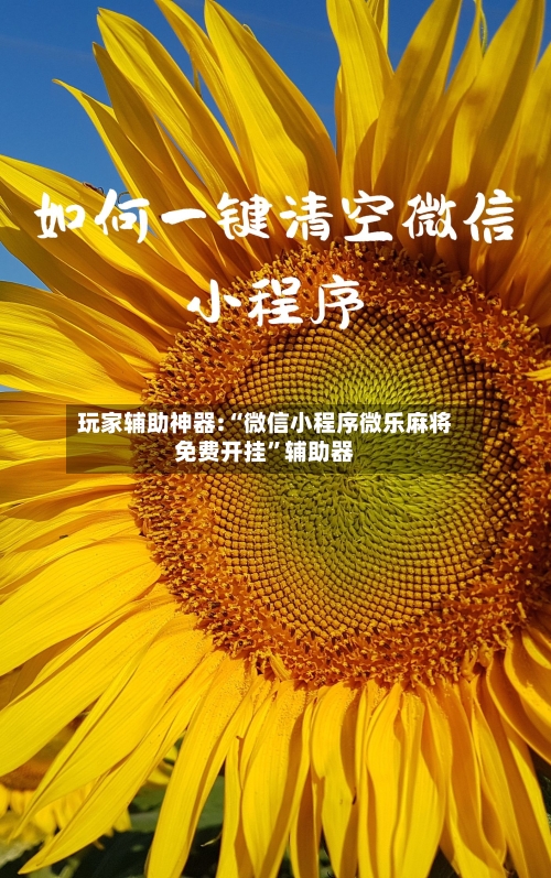 玩家辅助神器:“微信小程序微乐麻将免费开挂”辅助器