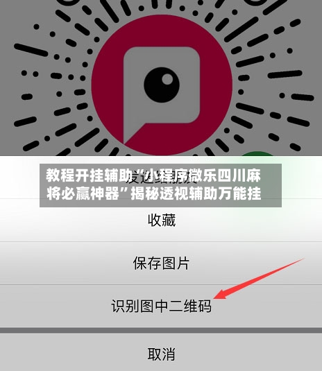 教程开挂辅助“小程序微乐四川麻将必赢神器”揭秘透视辅助万能挂-第2张图片