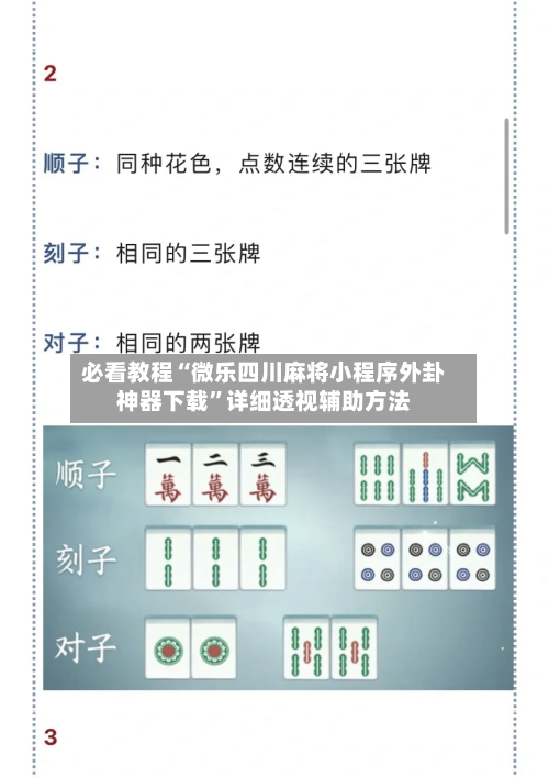 必看教程“微乐四川麻将小程序外卦神器下载”详细透视辅助方法-第2张图片