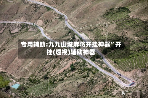 专用辅助:九九山城麻将开挂神器”开挂(透视)辅助神器-第3张图片