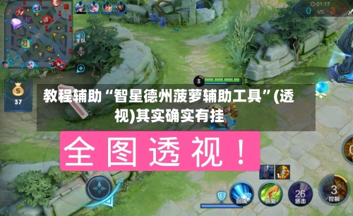 教程辅助“智星德州菠萝辅助工具”(透视)其实确实有挂-第2张图片