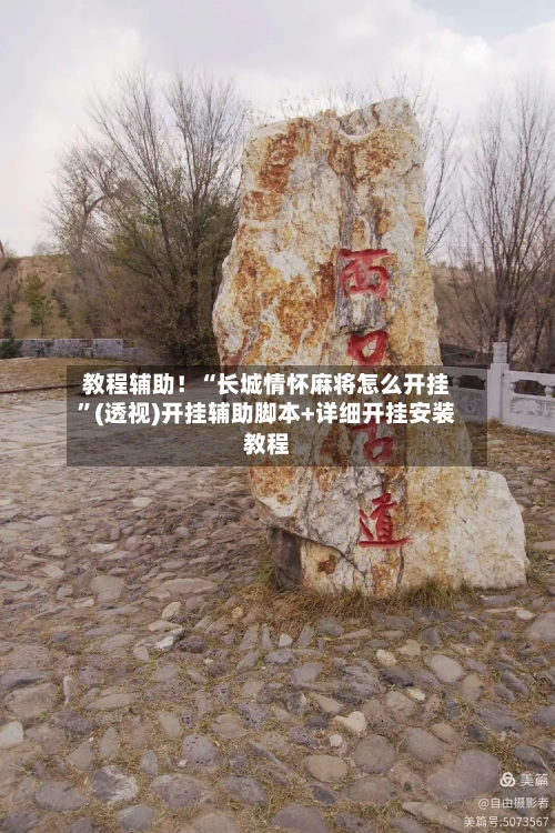 教程辅助！“长城情怀麻将怎么开挂”(透视)开挂辅助脚本+详细开挂安装教程-第3张图片