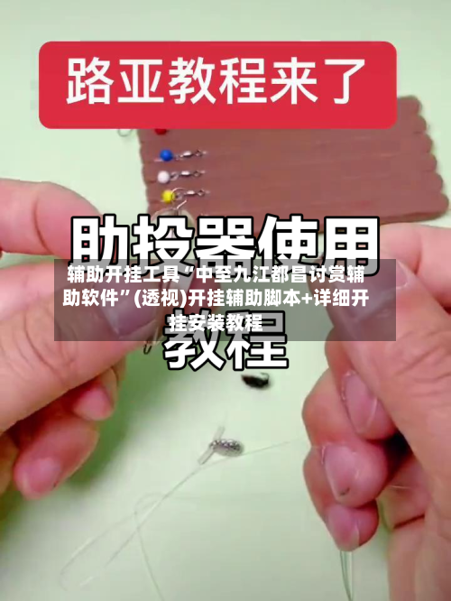 辅助开挂工具“中至九江都昌讨赏辅助软件”(透视)开挂辅助脚本+详细开挂安装教程-第2张图片