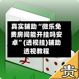 真实辅助“微乐免费房间能开挂吗安卓”(透视挂)辅助透视教程-第3张图片
