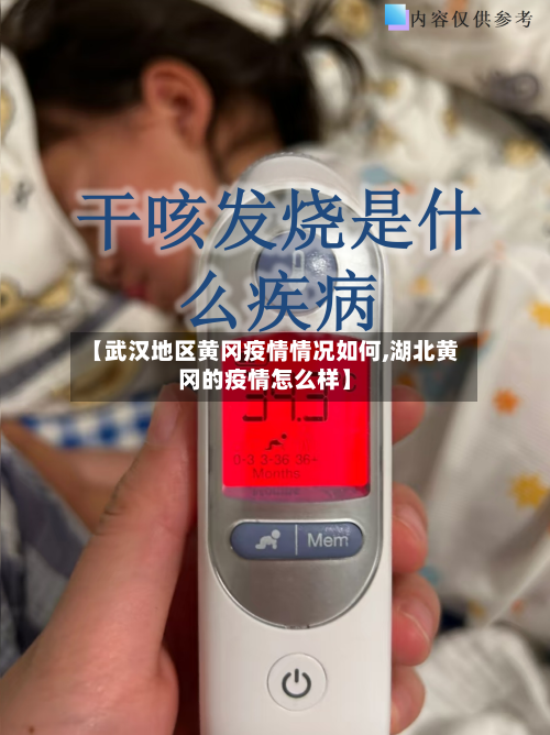 【武汉地区黄冈疫情情况如何,湖北黄冈的疫情怎么样】-第2张图片