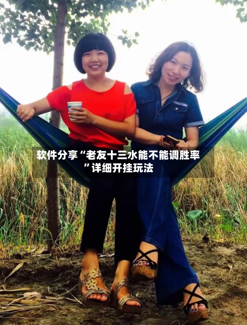 软件分享“老友十三水能不能调胜率”详细开挂玩法-第3张图片