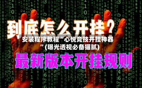 安装程序教程“心悦竞技开挂神器”(曝光透视必备猫腻)-第3张图片