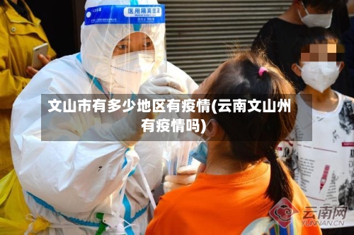 文山市有多少地区有疫情(云南文山州有疫情吗)-第3张图片
