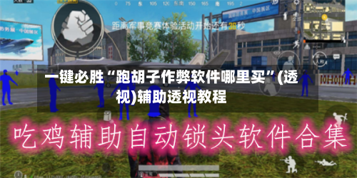 一键必胜“跑胡子作弊软件哪里买”(透视)辅助透视教程-第2张图片