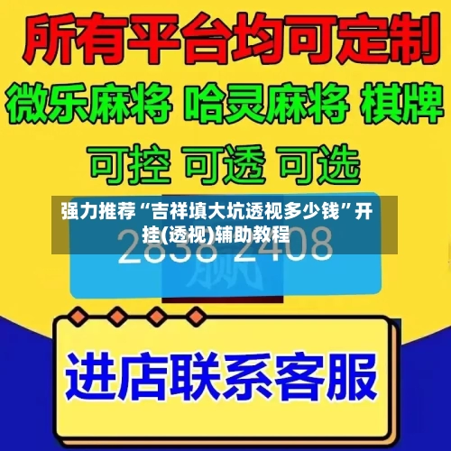强力推荐“吉祥填大坑透视多少钱”开挂(透视)辅助教程-第2张图片