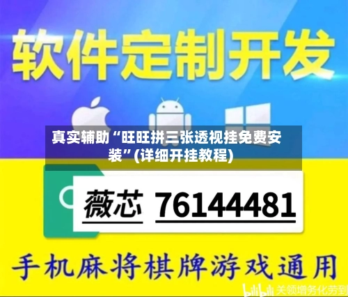 真实辅助“旺旺拼三张透视挂免费安装”(详细开挂教程)