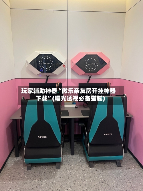 玩家辅助神器“微乐亲友房开挂神器下载”(曝光透视必备猫腻)-第3张图片