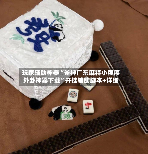 玩家辅助神器“雀神广东麻将小程序外卦神器下载”开挂辅助脚本+详细-第2张图片