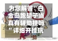 为您解答“白金岛跑胡子当真有辅助挂吗”详细开挂玩法-第2张图片