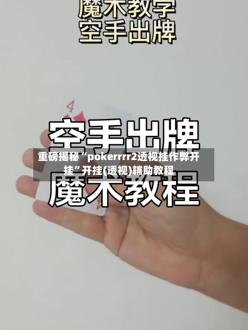 重磅揭秘“pokerrrr2透视挂作弊开挂”开挂(透视)辅助教程-第2张图片