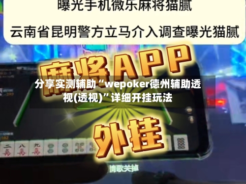 分享实测辅助“wepoker德州辅助透视(透视)”详细开挂玩法