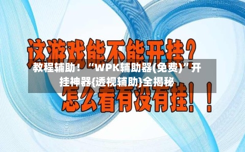 教程辅助！“WPK辅助器(免费)”开挂神器{透视辅助}全揭秘-第2张图片