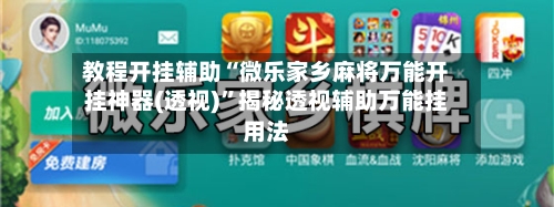 教程开挂辅助“微乐家乡麻将万能开挂神器(透视)”揭秘透视辅助万能挂用法-第2张图片