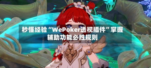 秒懂经验“WePoker透视插件”掌握辅助功能必胜规则-第2张图片