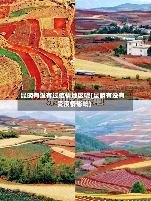 昆明有没有过疫情地区呢(昆明有没有受疫情影响)