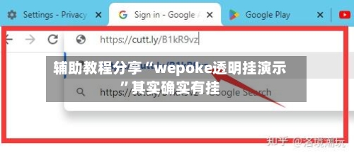 辅助教程分享“wepoke透明挂演示”其实确实有挂-第2张图片