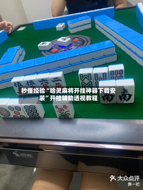 秒懂经验“哈灵麻将开挂神器下载安装”开挂辅助透视教程-第3张图片