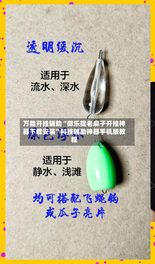 万能开挂辅助“微乐捉老麻子开挂神器下载安装”科技辅助神器手机版教程-第2张图片