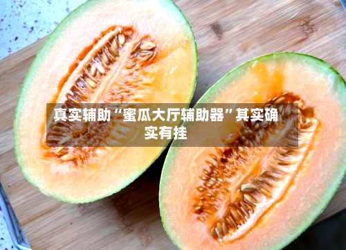 真实辅助“蜜瓜大厅辅助器”其实确实有挂