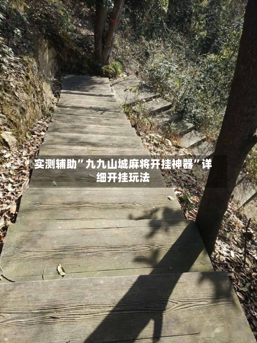 实测辅助”九九山城麻将开挂神器”详细开挂玩法