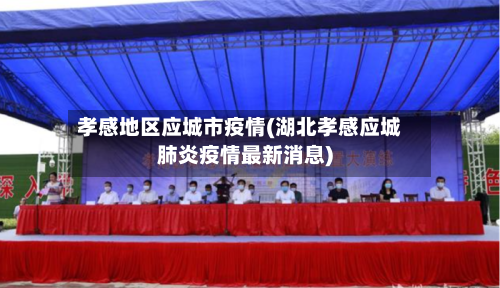 孝感地区应城市疫情(湖北孝感应城肺炎疫情最新消息)-第2张图片