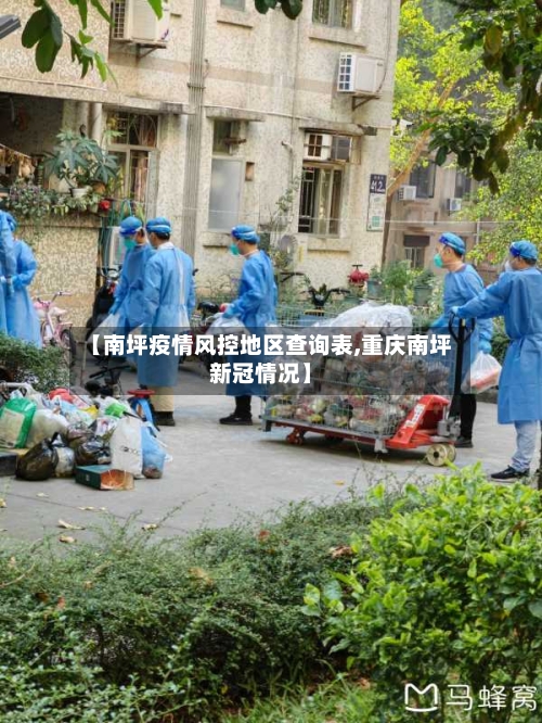 【南坪疫情风控地区查询表,重庆南坪新冠情况】-第3张图片