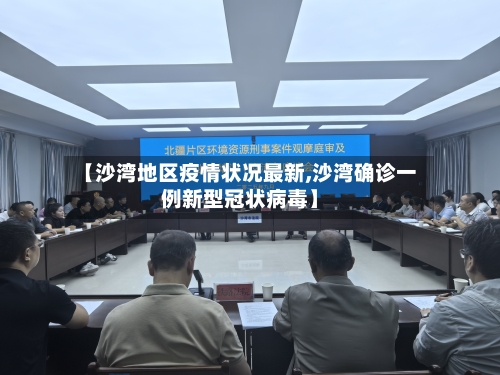 【沙湾地区疫情状况最新,沙湾确诊一例新型冠状病毒】-第3张图片