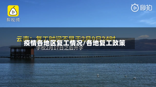疫情各地区复工情况/各地复工政策