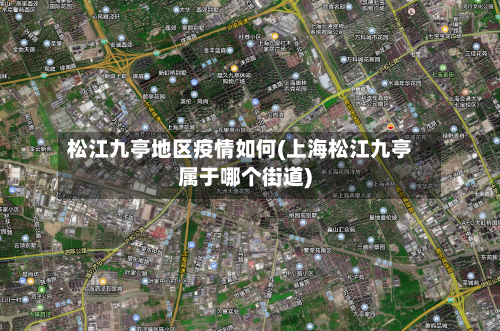 松江九亭地区疫情如何(上海松江九亭属于哪个街道)